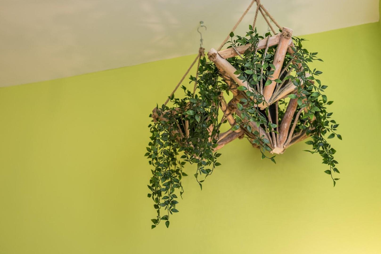 Guestready - Miragaia Green 波尔图 外观 照片