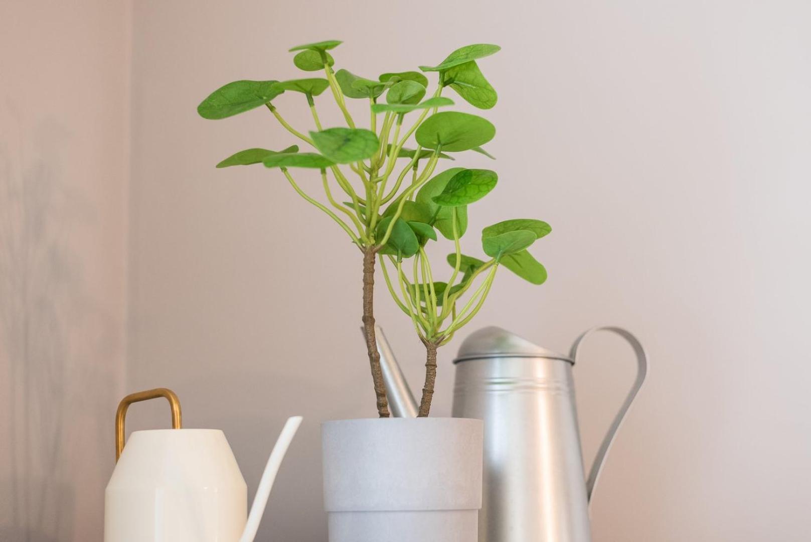 Guestready - Miragaia Green 波尔图 外观 照片